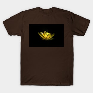 Buttercup T-Shirt